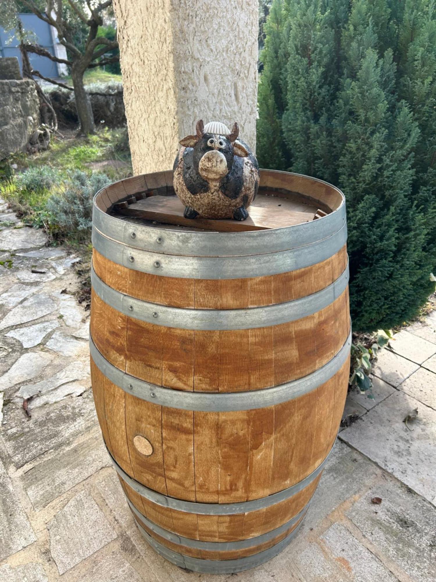 Willa Le Mazet Des Joncs En Provence Saint-Pierre-de-Vassols Zewnętrze zdjęcie