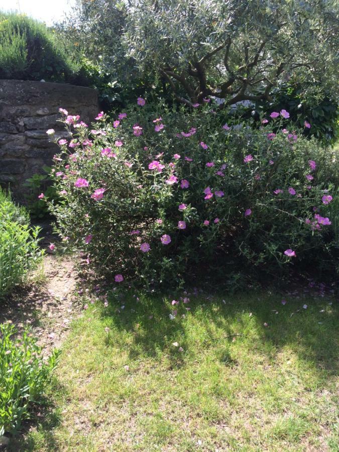 Willa Le Mazet Des Joncs En Provence Saint-Pierre-de-Vassols Zewnętrze zdjęcie
