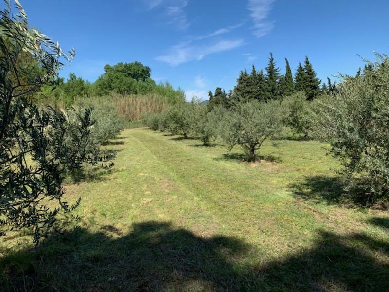 Willa Le Mazet Des Joncs En Provence Saint-Pierre-de-Vassols Zewnętrze zdjęcie